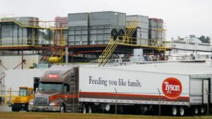 Disempowered By Tyson: How Big Chicken Hurts Farmers, Workers, and Communities (and Why You Should Care)