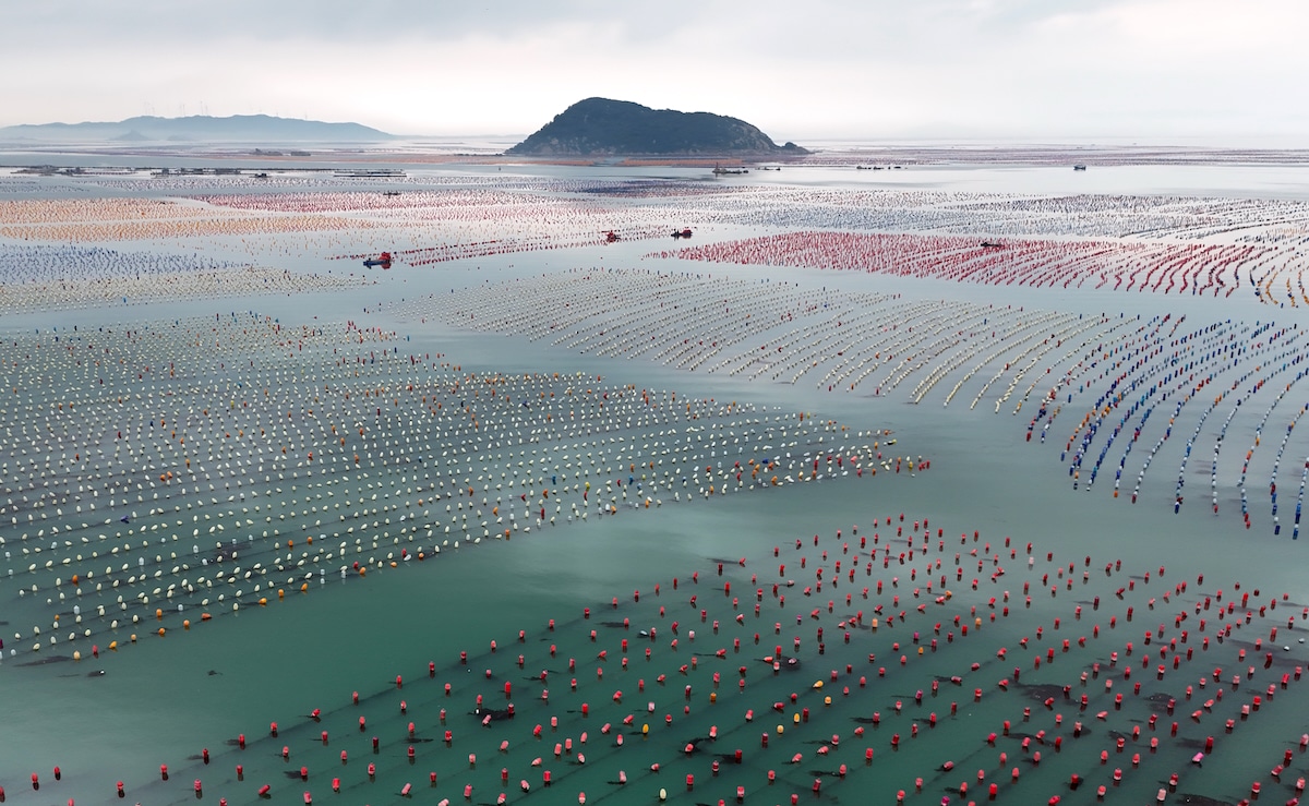 Aerial view of colorful buoys floating at an oyster farm in Shantou, Guangdong Province of China